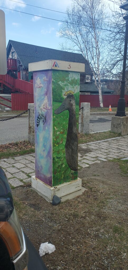 Photos of various painted boxes surrounding parking kiosk machines in downtown Bar Harbor, Maine.  All within walking distance of the Saltair Inn Waterfront Bed and Breakfast