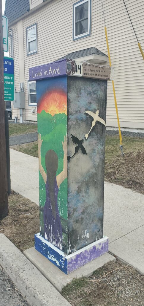 Photos of various painted boxes surrounding parking kiosk machines in downtown Bar Harbor, Maine.  All within walking distance of the Saltair Inn Waterfront Bed and Breakfast